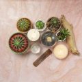Ayurvedic Natural Remedies for Skin Allergy & Rashes in India