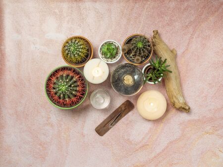 Ayurvedic Natural Remedies for Skin Allergy & Rashes in India