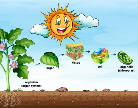 Ayurvedic Remedies for Sun Tan and Sunburn in India