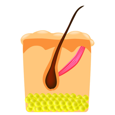 Cultural Rituals and Nose Ornamentation