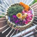 Ayurvedic Remedies for Pimples & Acne: Natural Indian Solutions
